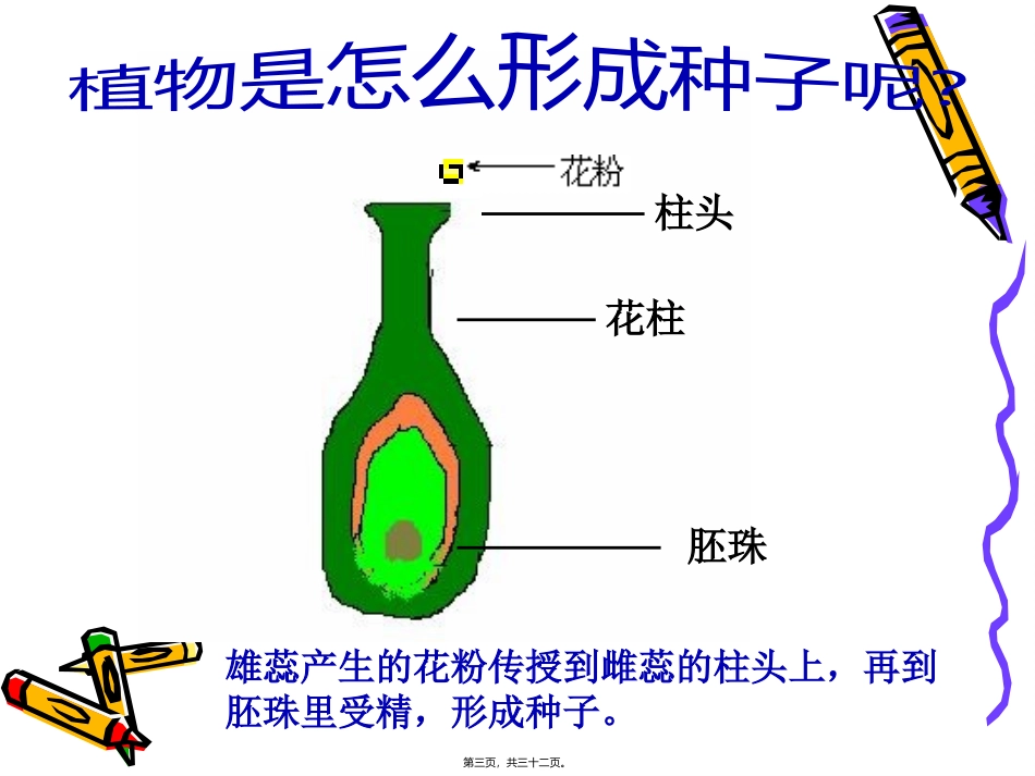 7动物的繁殖活动_第3页
