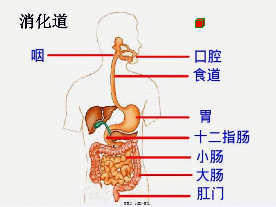 【复习】合理膳食平衡营养培训课件_第3页