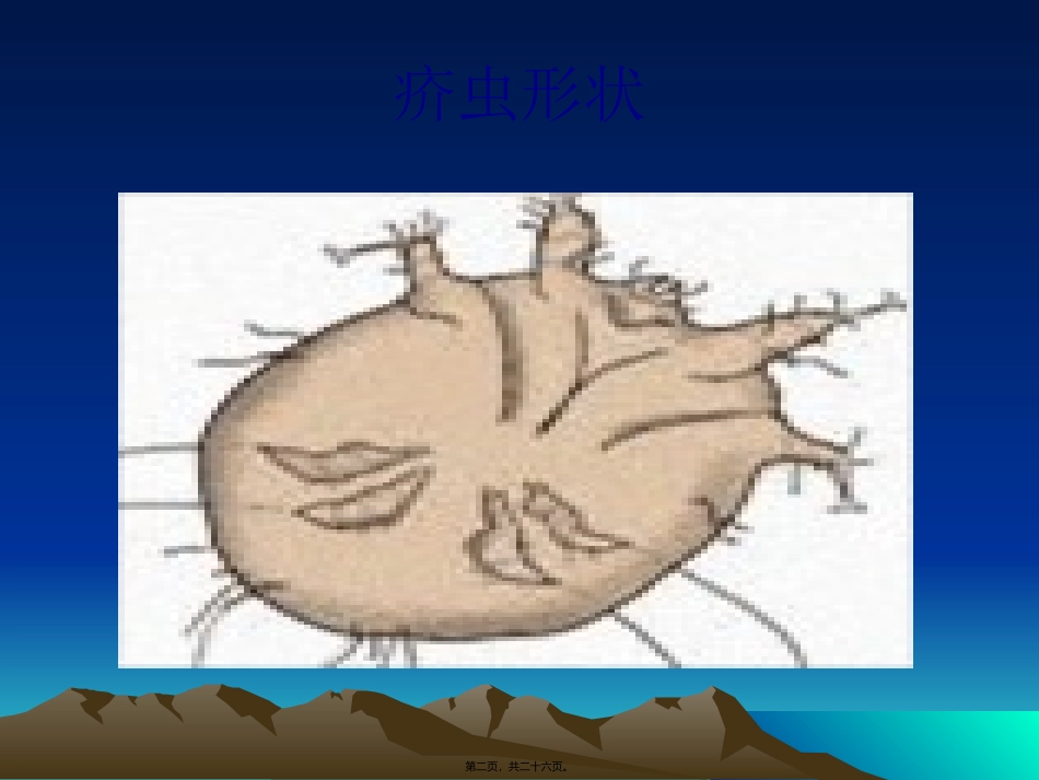 7动物性皮肤病_第2页