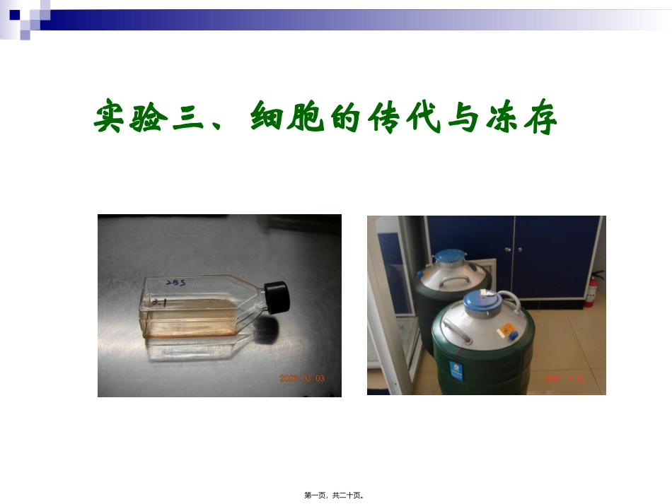 实验三、细胞的传代与冻存生物教学课件_第1页