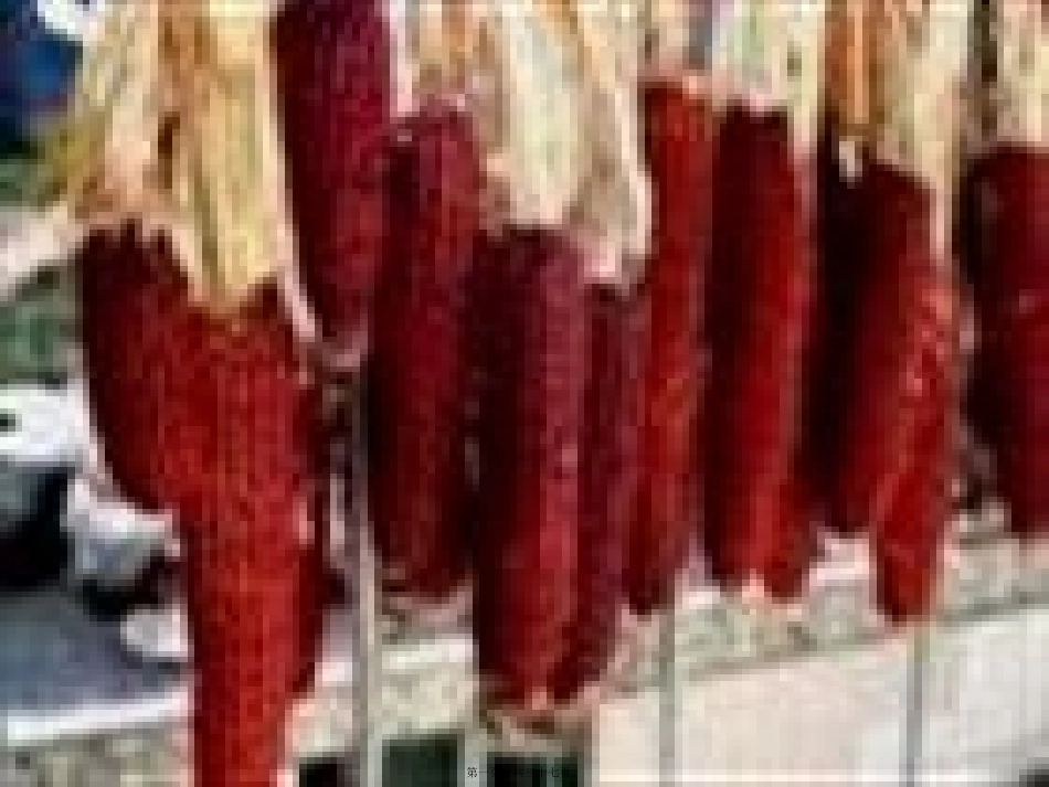 第2讲·红玉米.._第1页