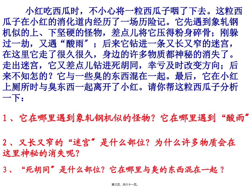 食物的消化与吸收 医学教学课件_第3页