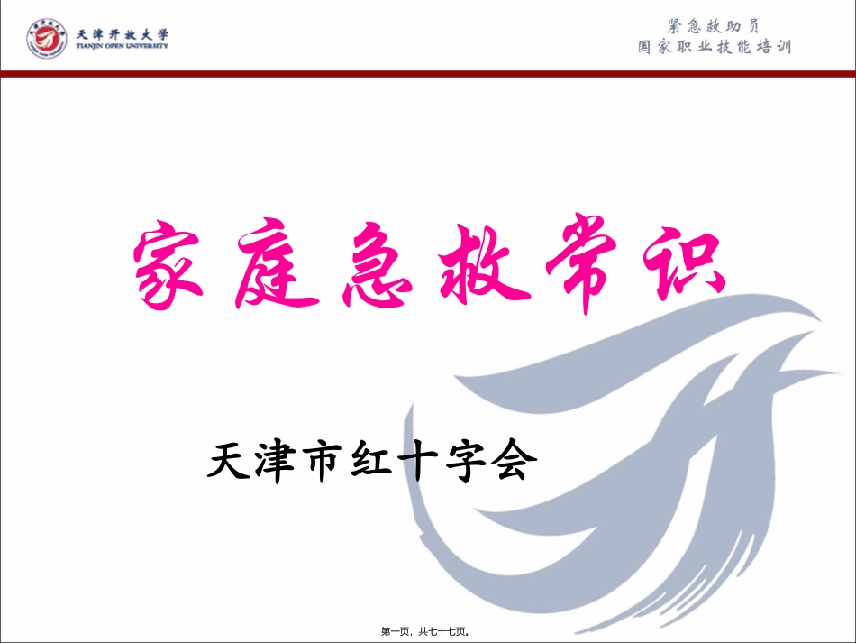 标准家庭急救常识讲座_第1页