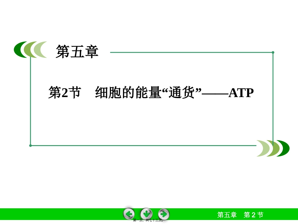 细胞的能量“通货”——ATP 生物培训课件_第1页