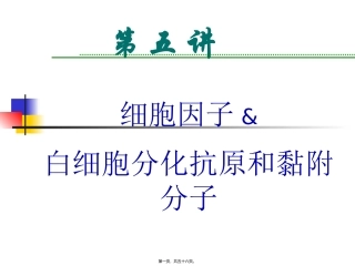 细胞因子白细胞分化抗原和黏附分子 教学课件