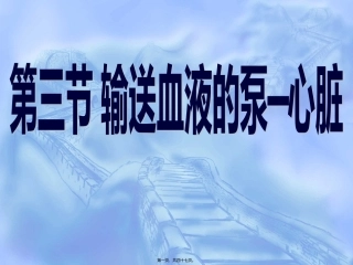 输送血液的泵—心脏 医学教学课件