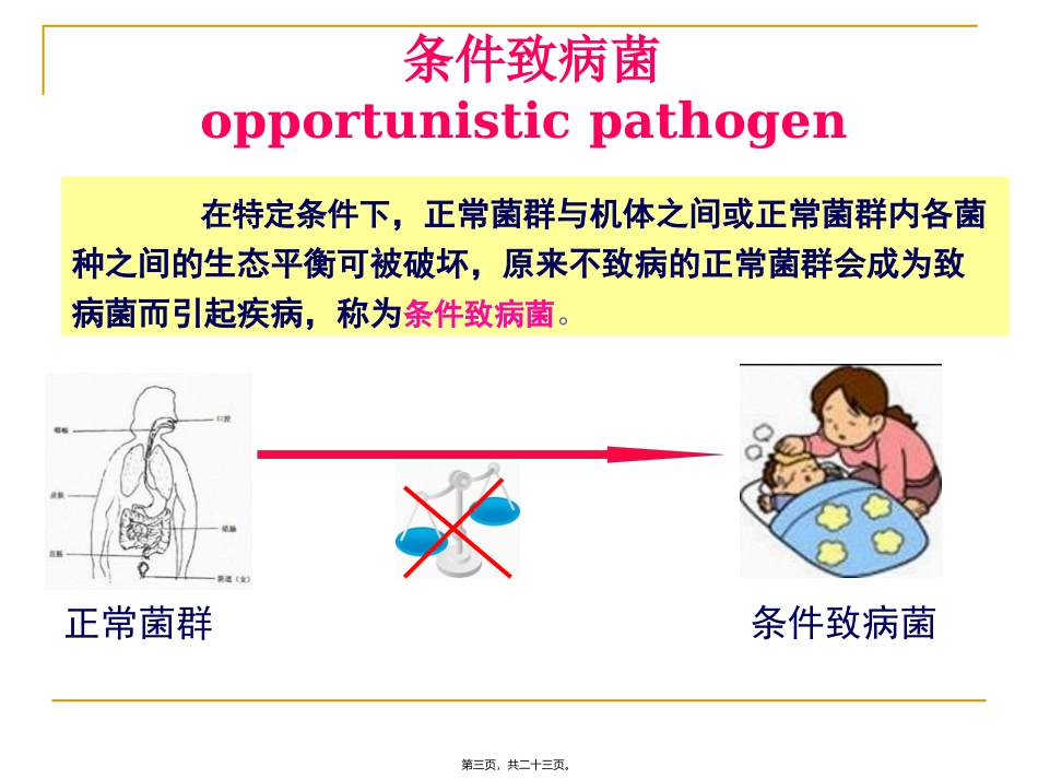 细菌的形态与结构 医学教学培训课件_第3页