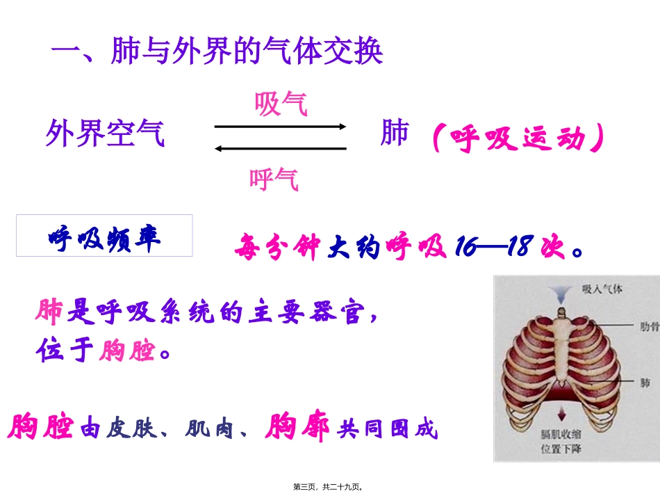 第2讲---发生在肺内的气体交换(林)_第3页
