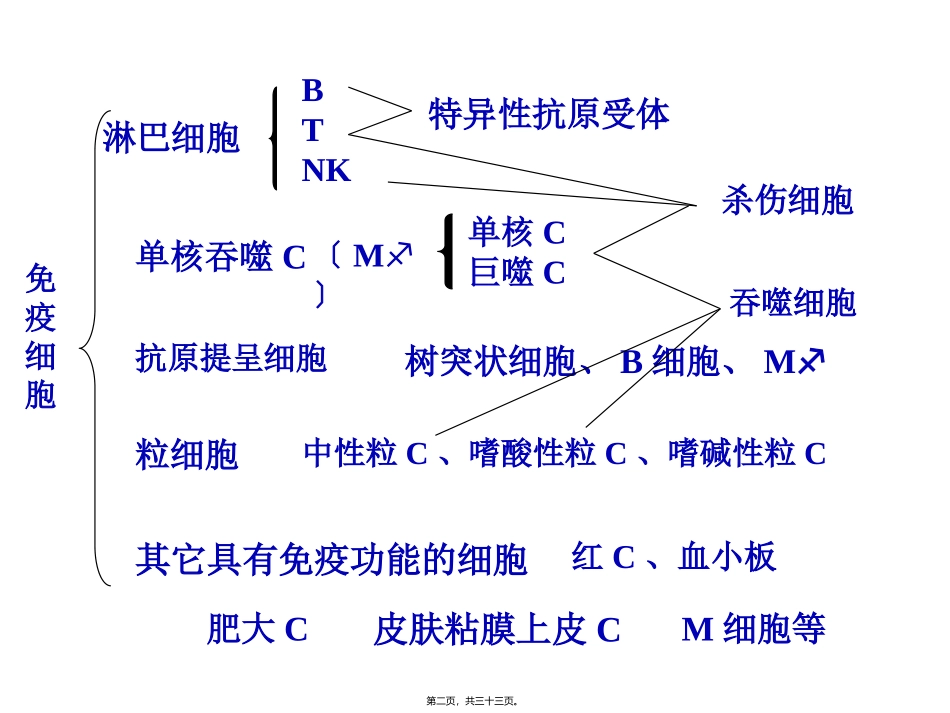 【免疫】2.T与B细胞 讲座课件_第2页