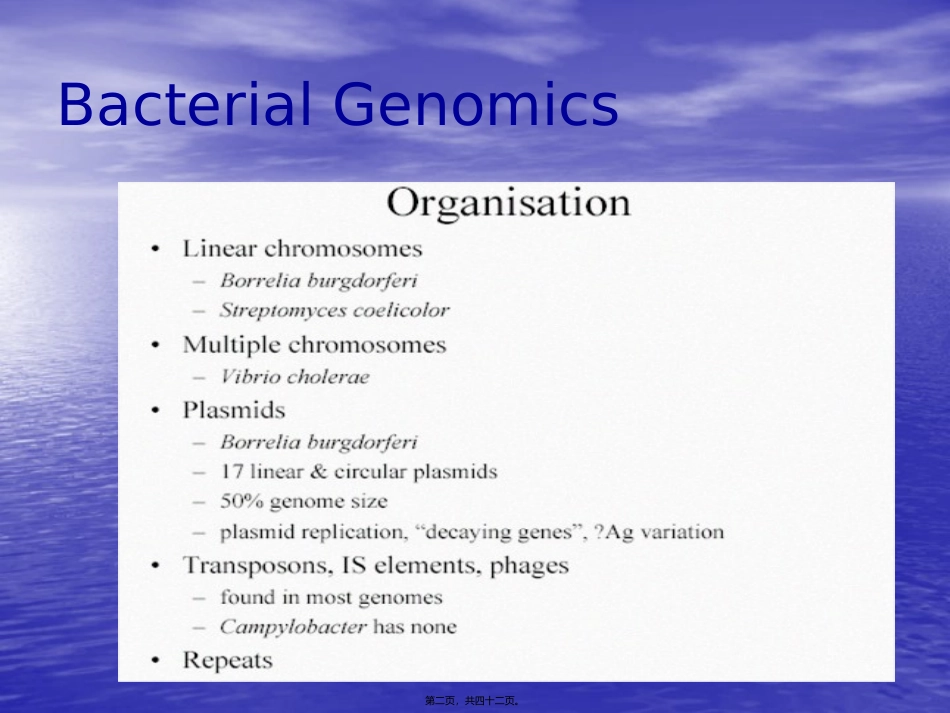 细菌的遗传和变异 生物教学课件_第2页