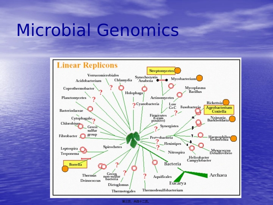 细菌的遗传和变异 生物教学课件_第3页
