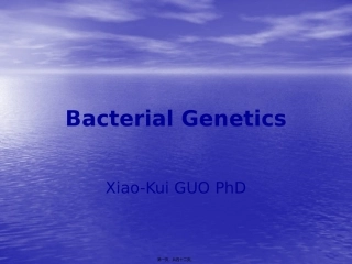 细菌的遗传和变异 生物教学课件