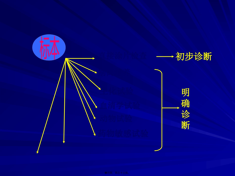 细菌感染的检查与防治 教学课件_第3页