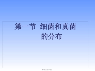 细菌和真菌的分布 教学课件