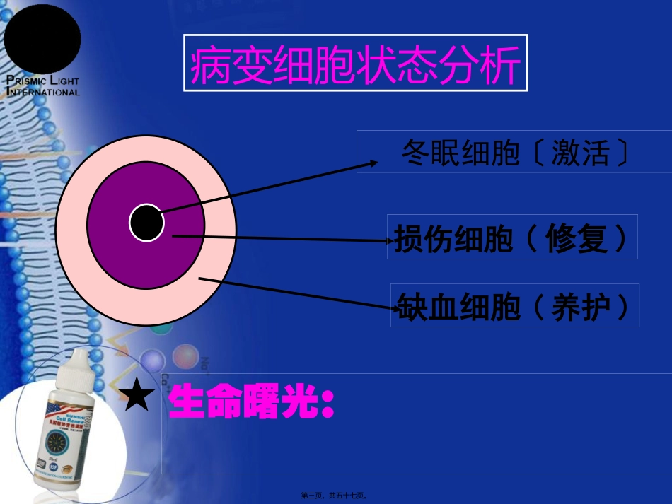 【顺势细胞食物六高版本】讲稿教学课件_第3页