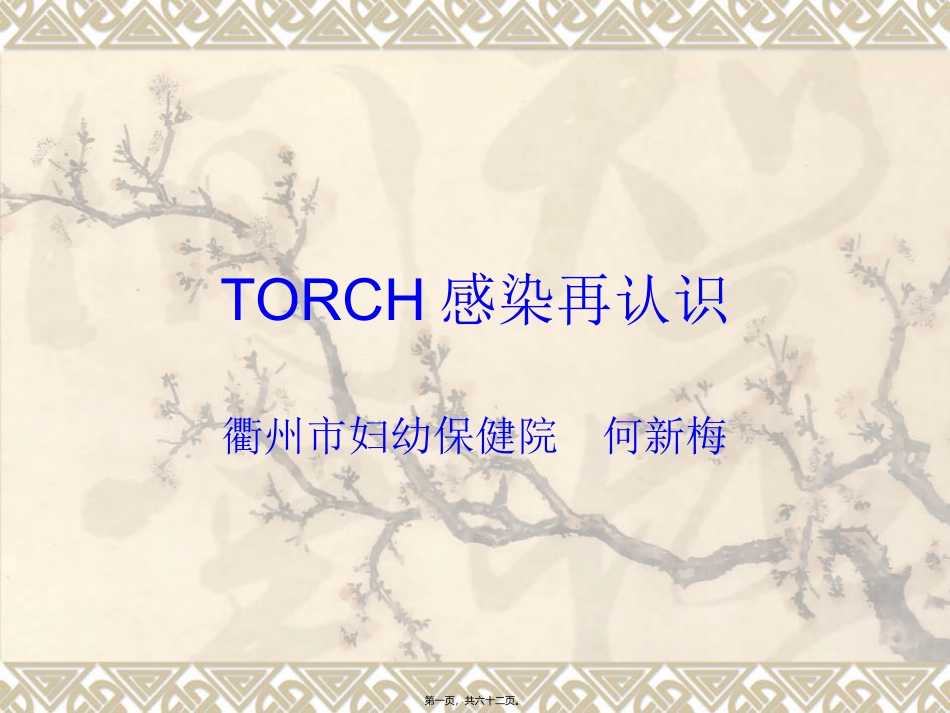 TORCH感染再认识_第1页