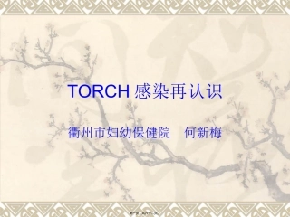 TORCH感染再认识