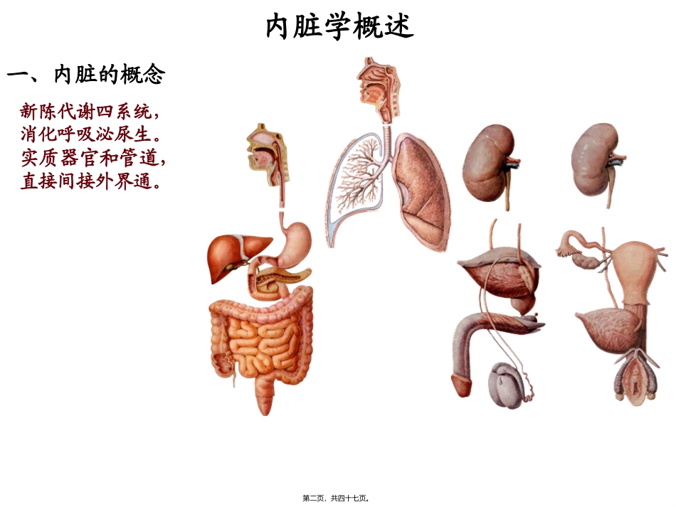 消化管(厦门医高专)医学教学课件_第1页