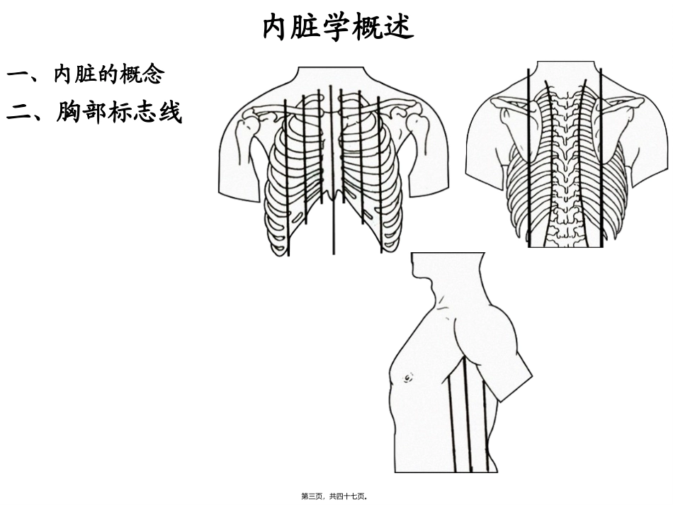 消化管(厦门医高专)医学教学课件_第2页