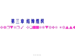 【组胚】 结缔组织 生物教学课件