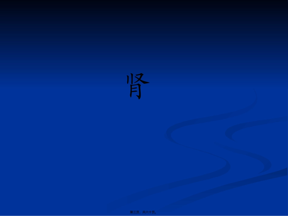 【组织胚胎学】泌尿系统_第3页