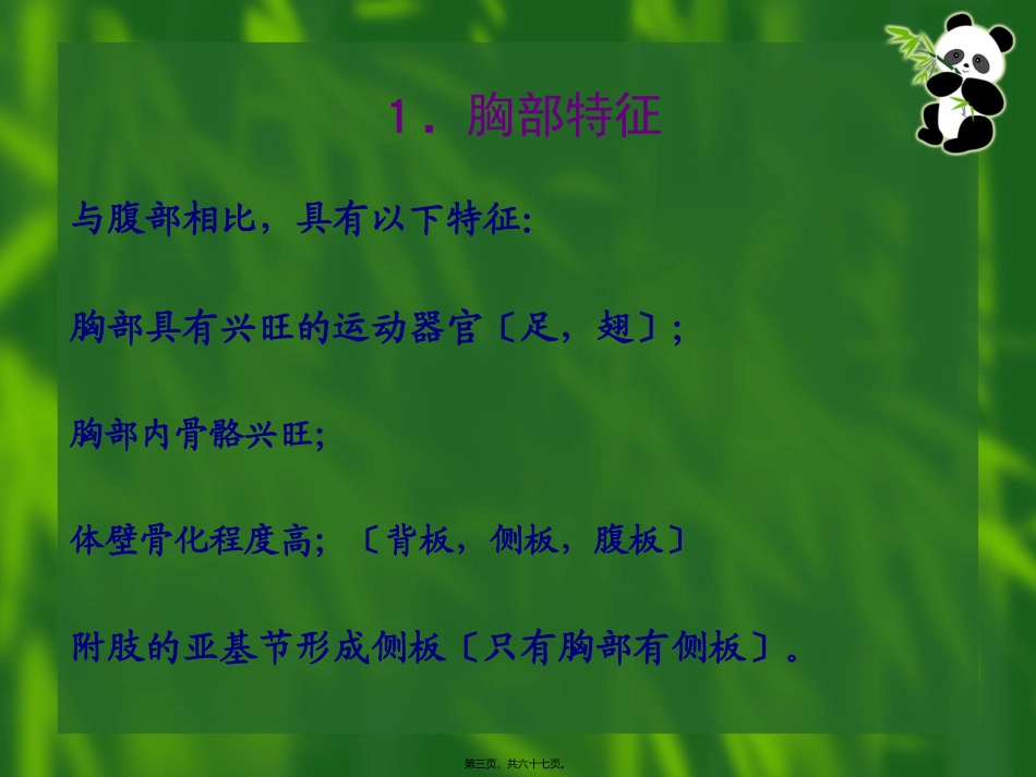 7昆虫的胸部全解_第3页