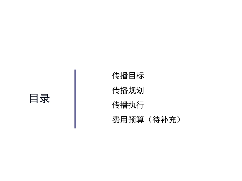 08款SPARK乐驰上市公关传播执行方案_第1页