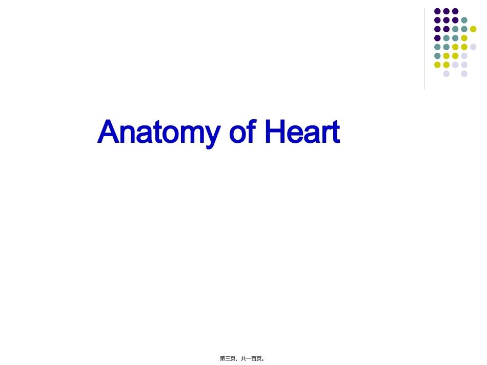 心脏超声 医学讲座课件_第3页