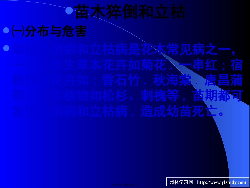 7苗木立枯病和猝倒病_第1页