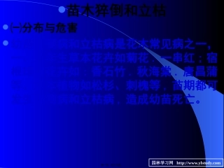 7苗木立枯病和猝倒病