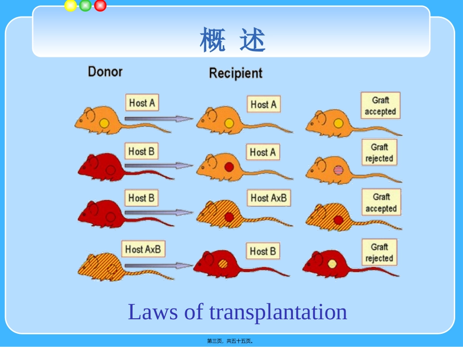 MHC-主要组织相容性复合体-免疫学_第3页