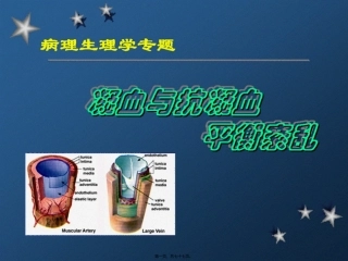 ⑦凝血与抗凝血平衡紊乱20101031