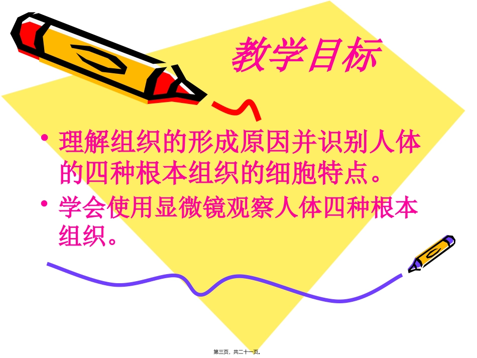 细胞分化形成组织 生物教学课件_第2页