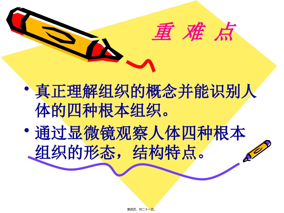 细胞分化形成组织 生物教学课件_第3页