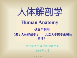 7生殖会阴腹膜内分泌-系统详细.