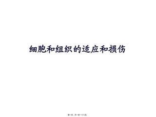 细胞和组织的适应和损伤 医学教学课件