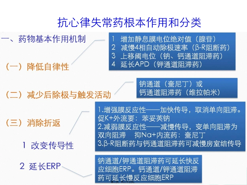 循环抗心律失常药医学教学课件_第2页