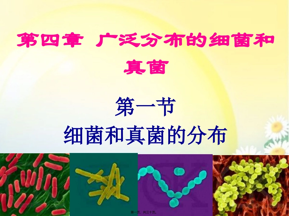 细菌和真菌的分布 第四章 广泛分布的细菌和真菌 教学课件_第1页