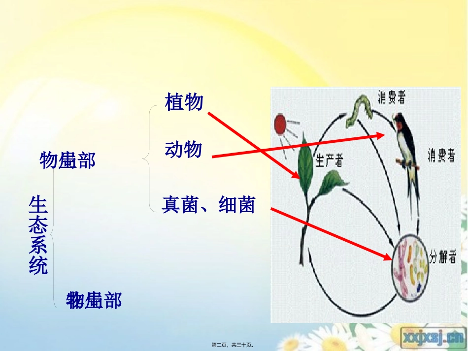 细菌和真菌的分布 第四章 广泛分布的细菌和真菌 教学课件_第2页