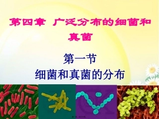 细菌和真菌的分布 第四章 广泛分布的细菌和真菌 教学课件