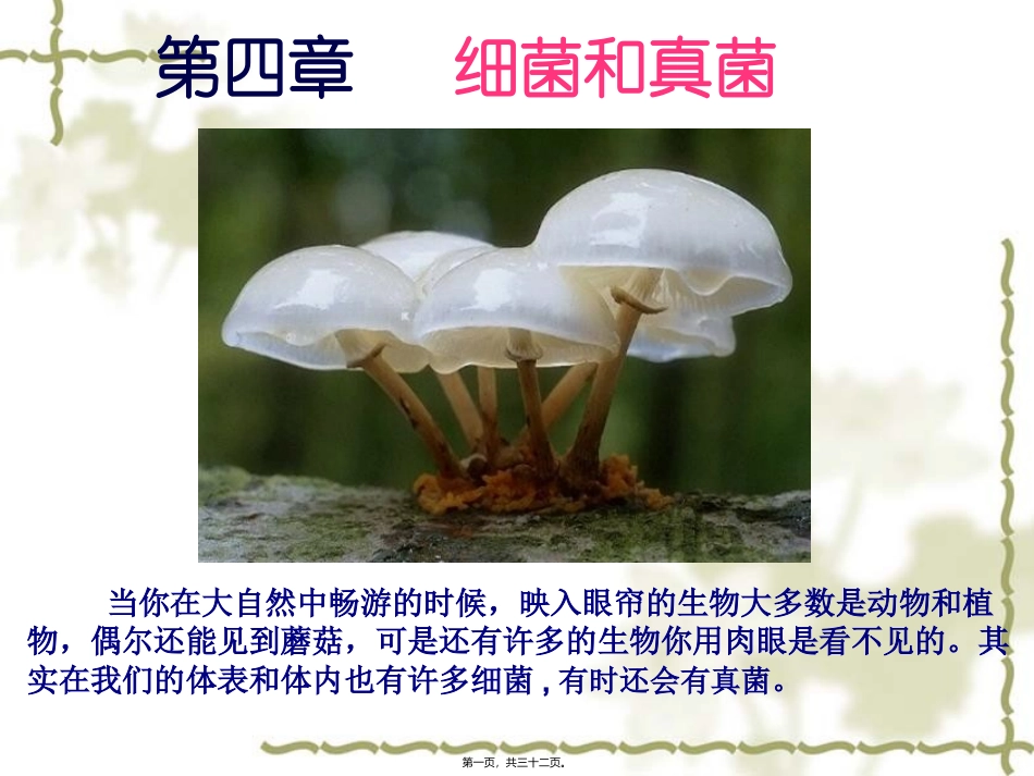 细菌和真菌的分布 医学教学课件_第1页
