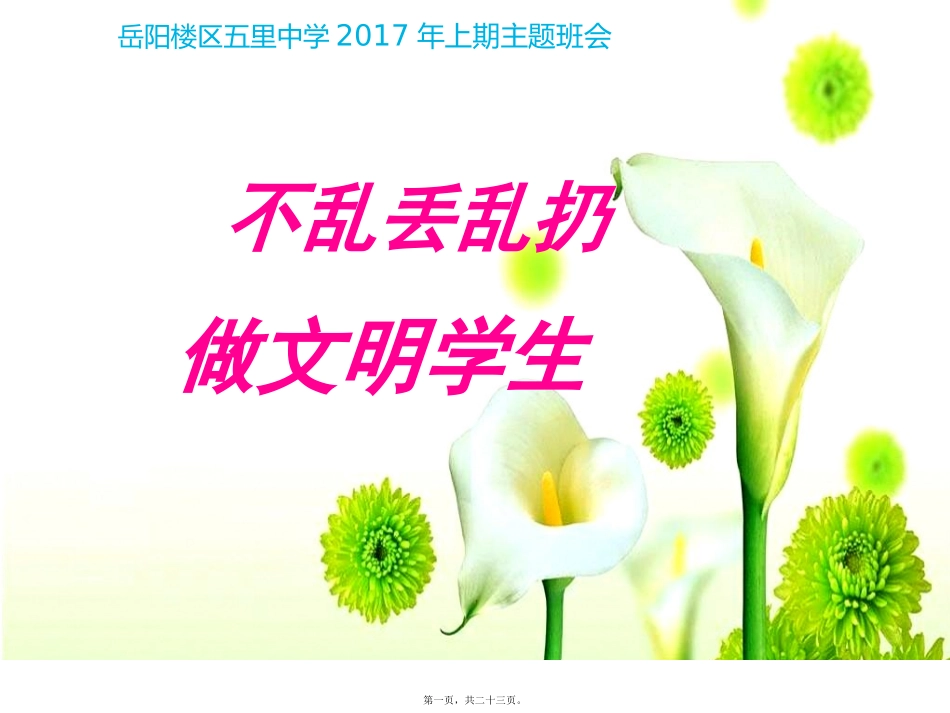 不乱丢乱扔主题班会_第1页