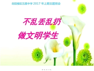 不乱丢乱扔主题班会