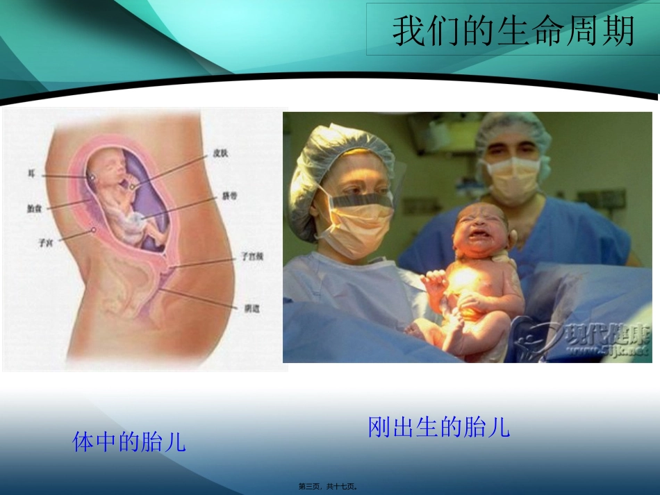 7我们的生命周期_第3页