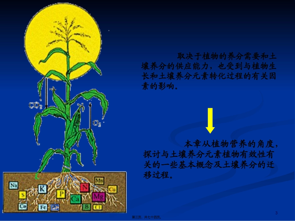第2讲-土壤养分的植物吸收和迁移_第3页