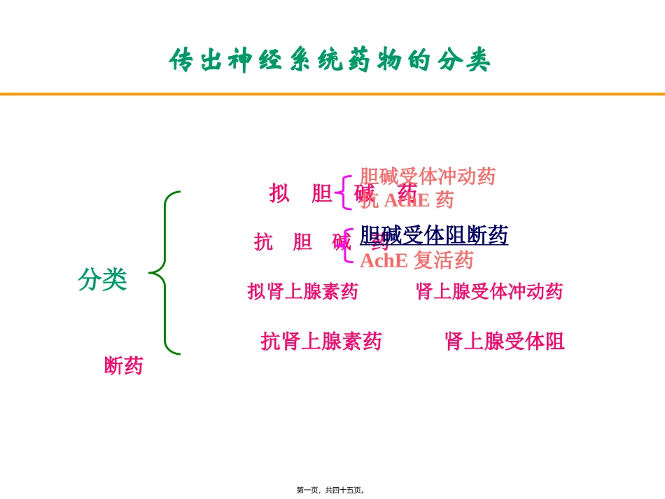 胆碱受体阻断药(五年本)传出神经系统药物的分类解读教学课件_第1页