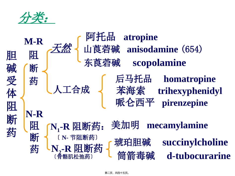 胆碱受体阻断药(五年本)传出神经系统药物的分类解读教学课件_第2页