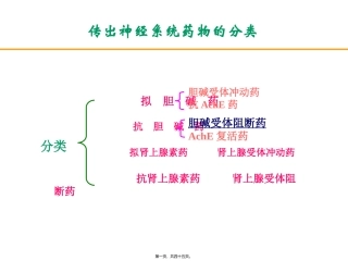 胆碱受体阻断药(五年本)传出神经系统药物的分类解读教学课件