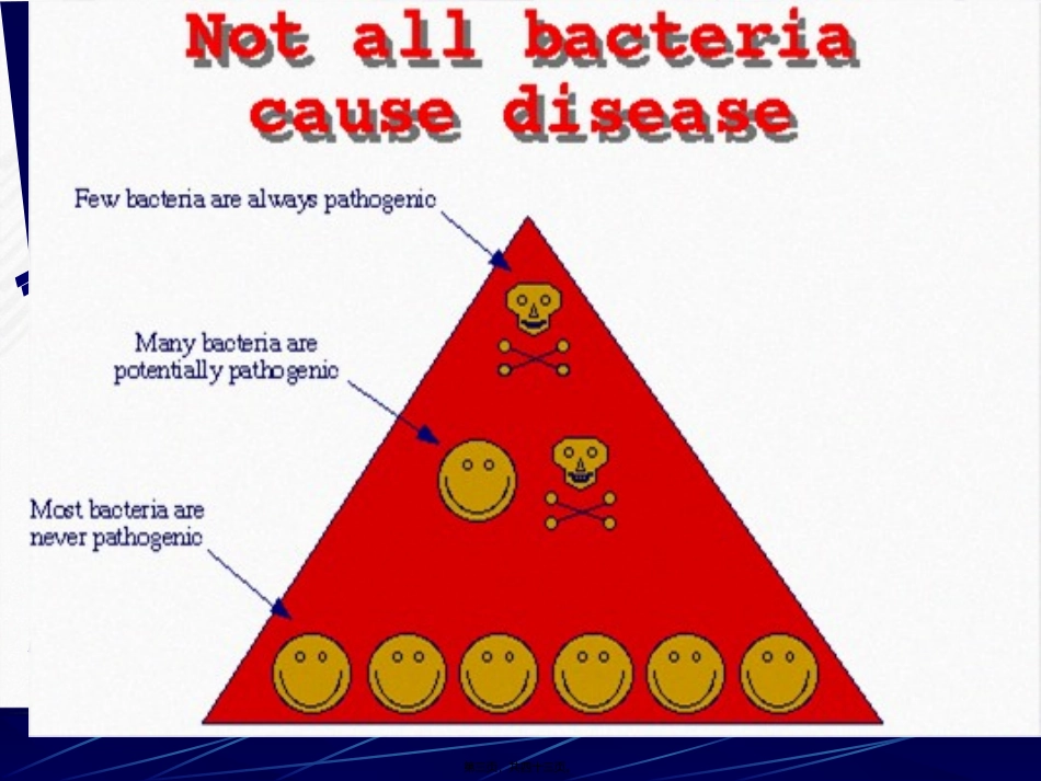 7-细菌的感染及免疫_第3页