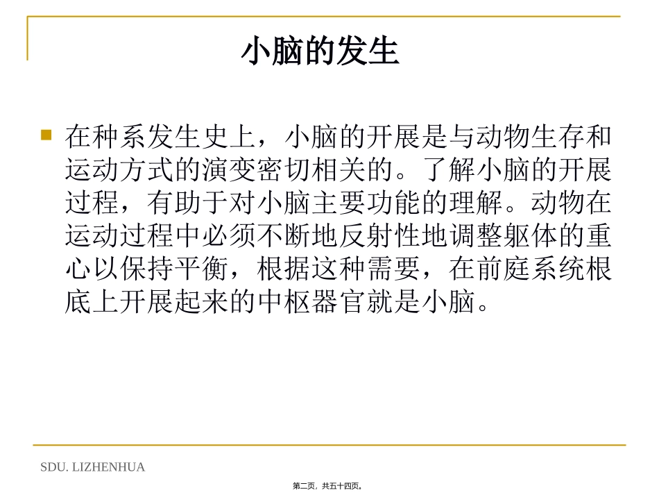 7-小脑-cerebellum汇总_第2页
